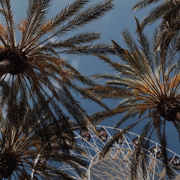 Meet your Posher, Jordan - Picture 2 of 2